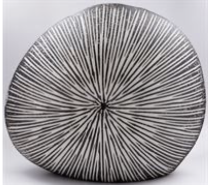 Diva Vase