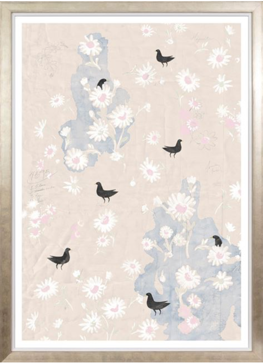 Oiseaux Noirs