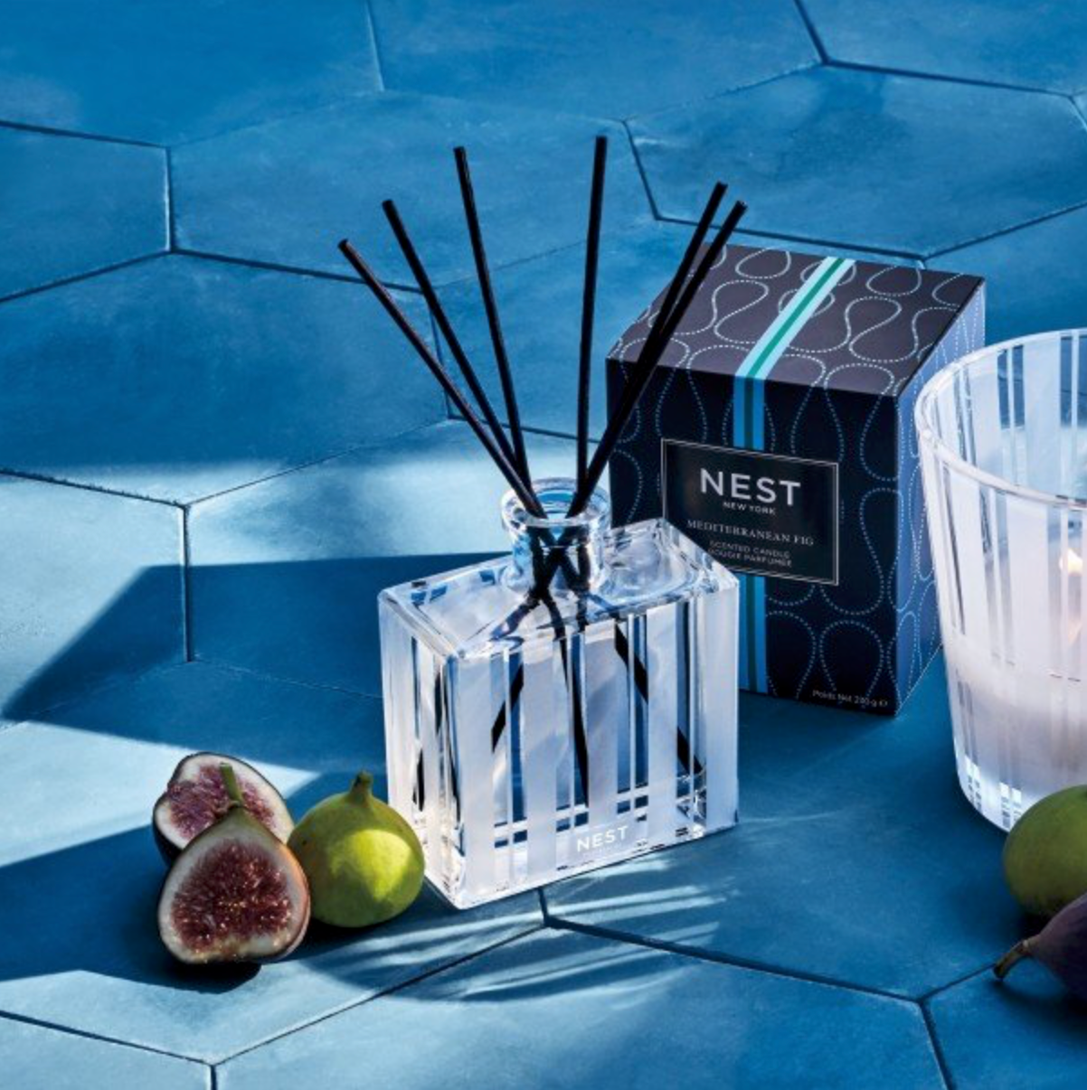 Nest Mediterranean Fig