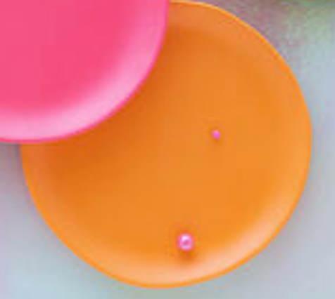 Rainbow Plate