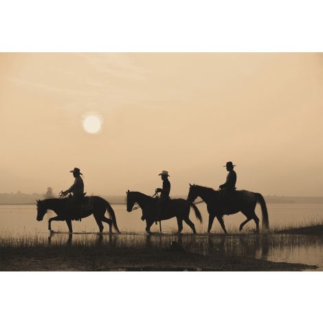 Journey on Horseback Art