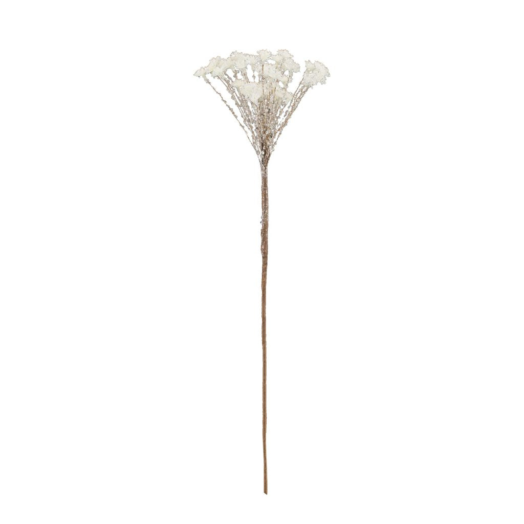 Yarrow Iced Stem