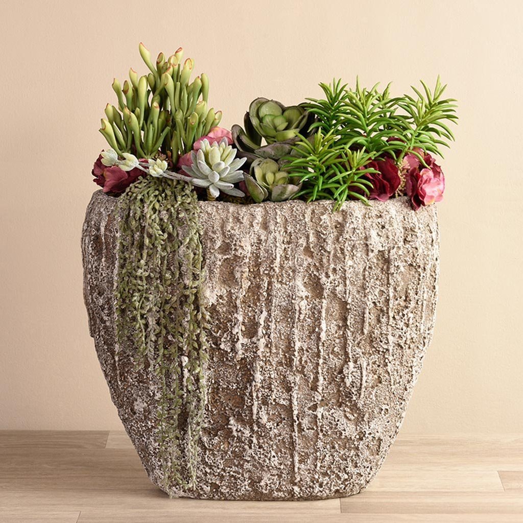 Peruvian Succulent Arrangement