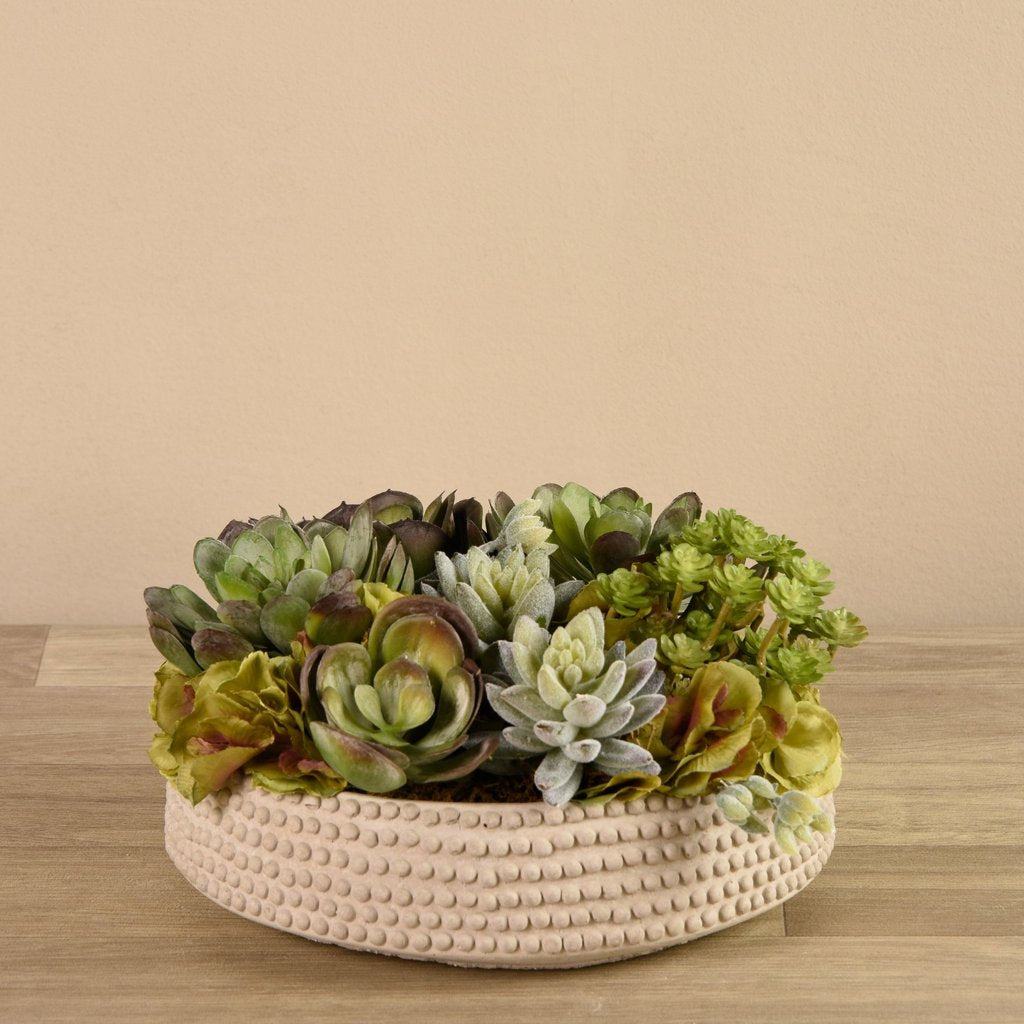 Dot Beige Succulent Arrangement