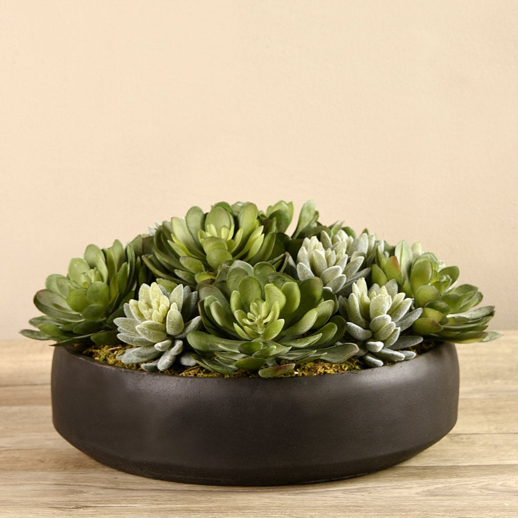 Charcoal Succulent Arrangement in Bowl