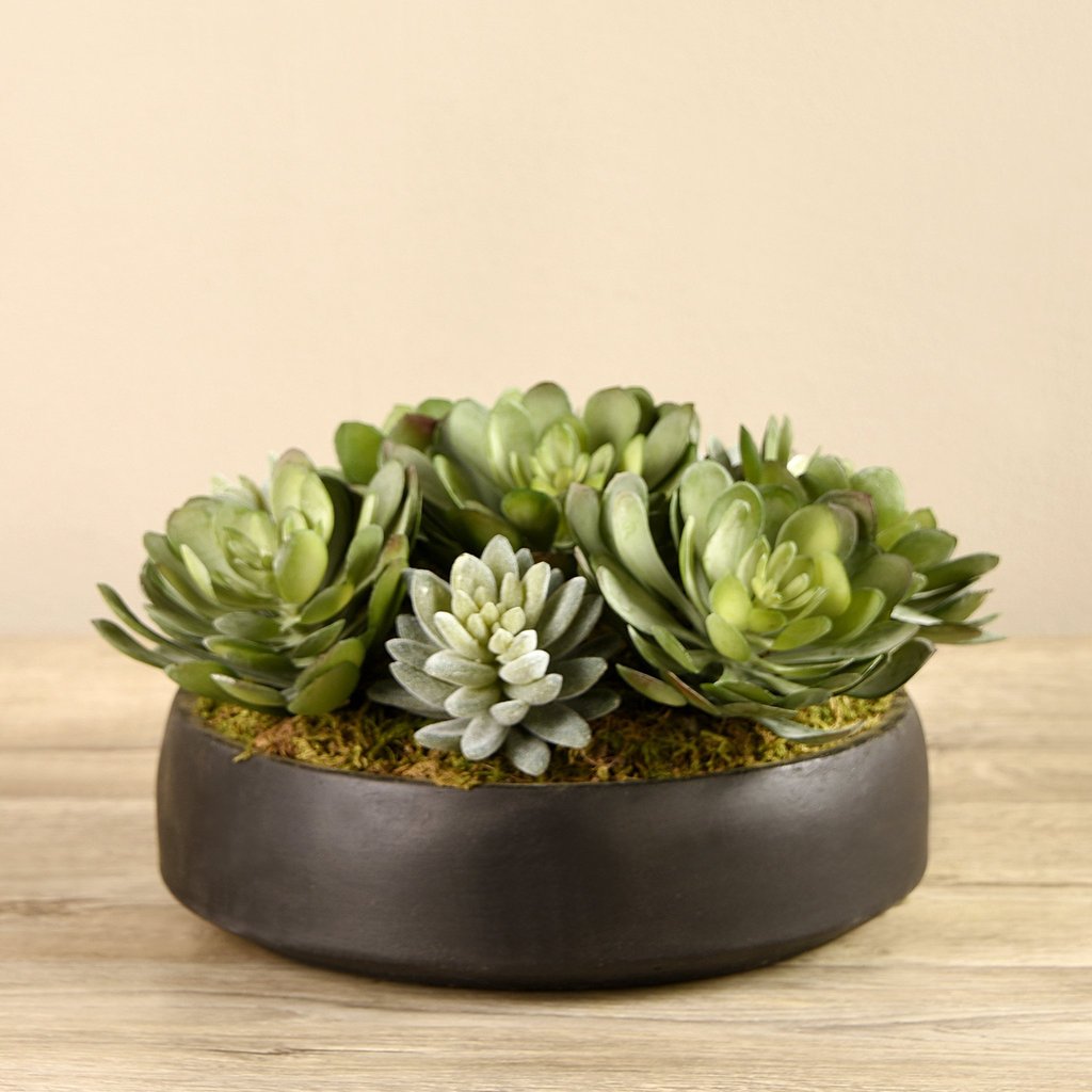 Charcoal Succulent Arrangement in Bowl