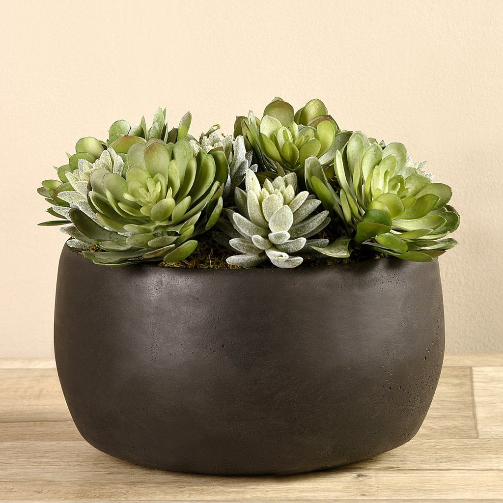 Charcoal Succulent Arrangement in Bowl