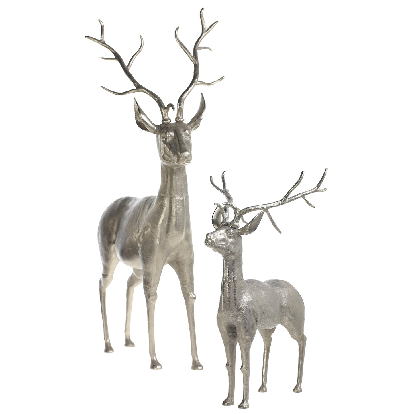 Large Deer