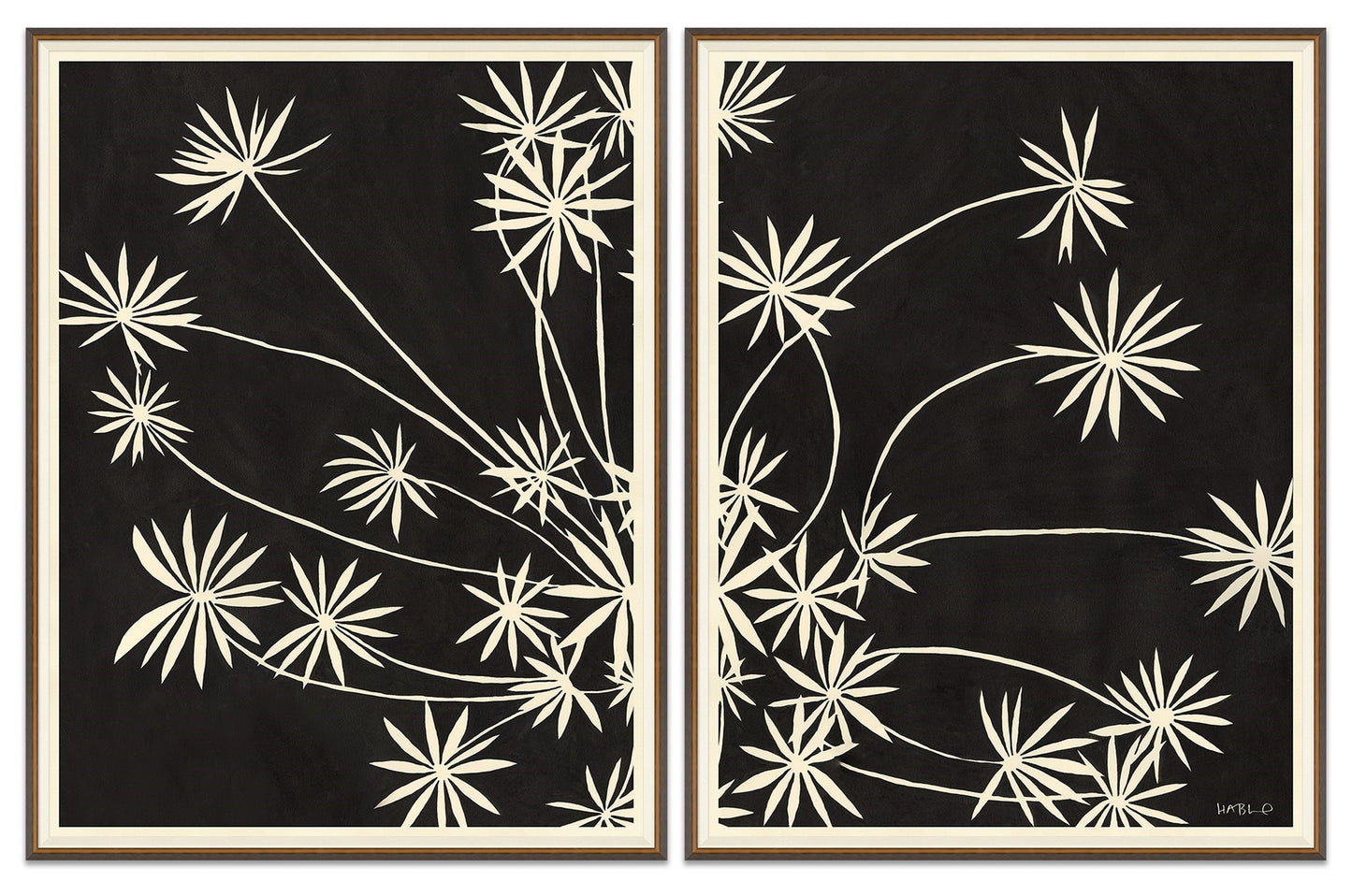 Sedum Art Series