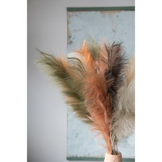 Pampas Grass