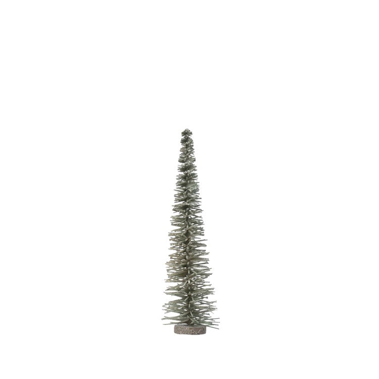 Bottle Brush Tree