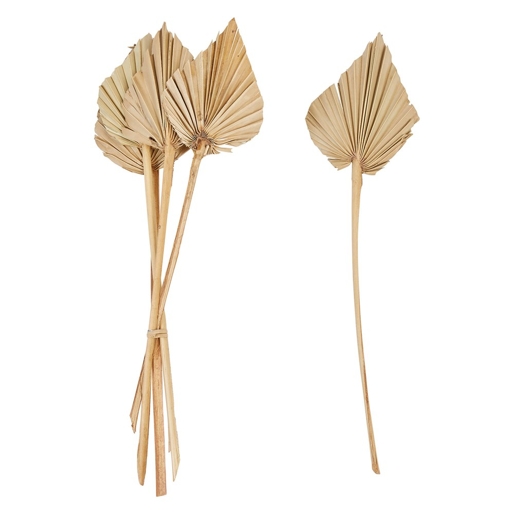 21"H Dried Natural Palm Bunch