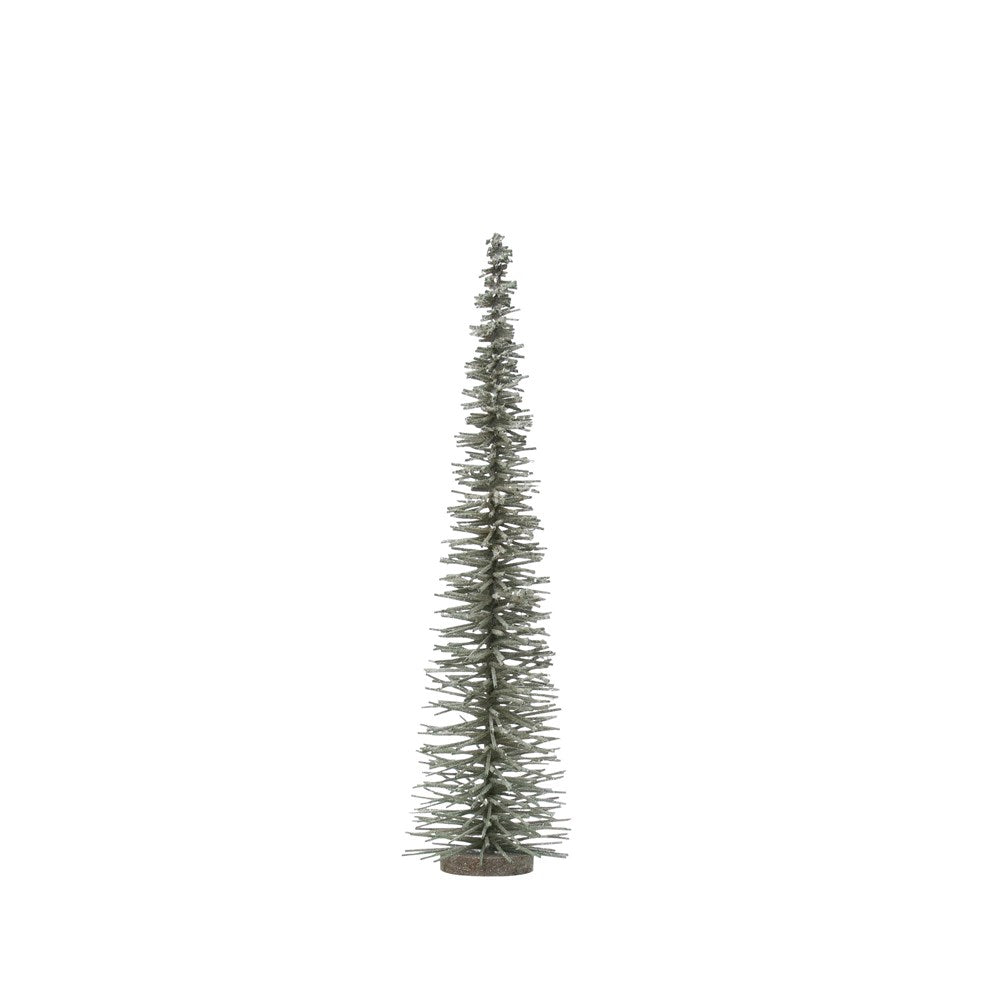 Bottle Brush Tree