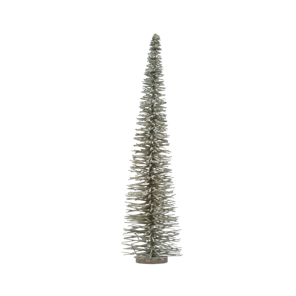 Bottle Brush Tree