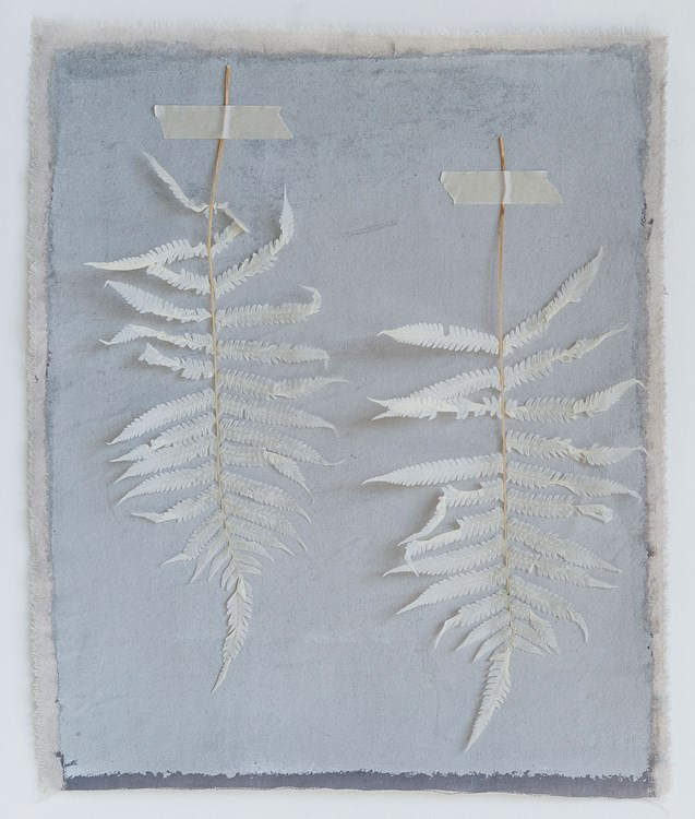 16"H Dried Natural Fern Leaf