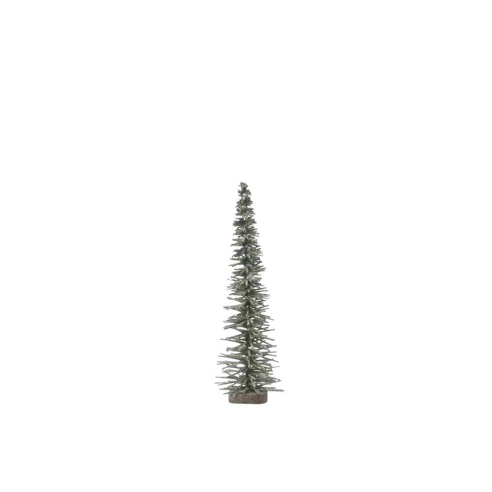 Bottle Brush Tree