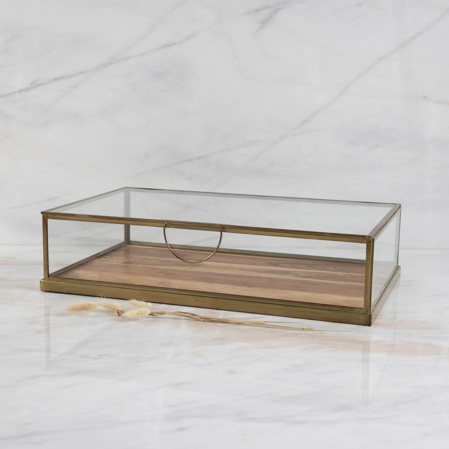 Glass Display Case