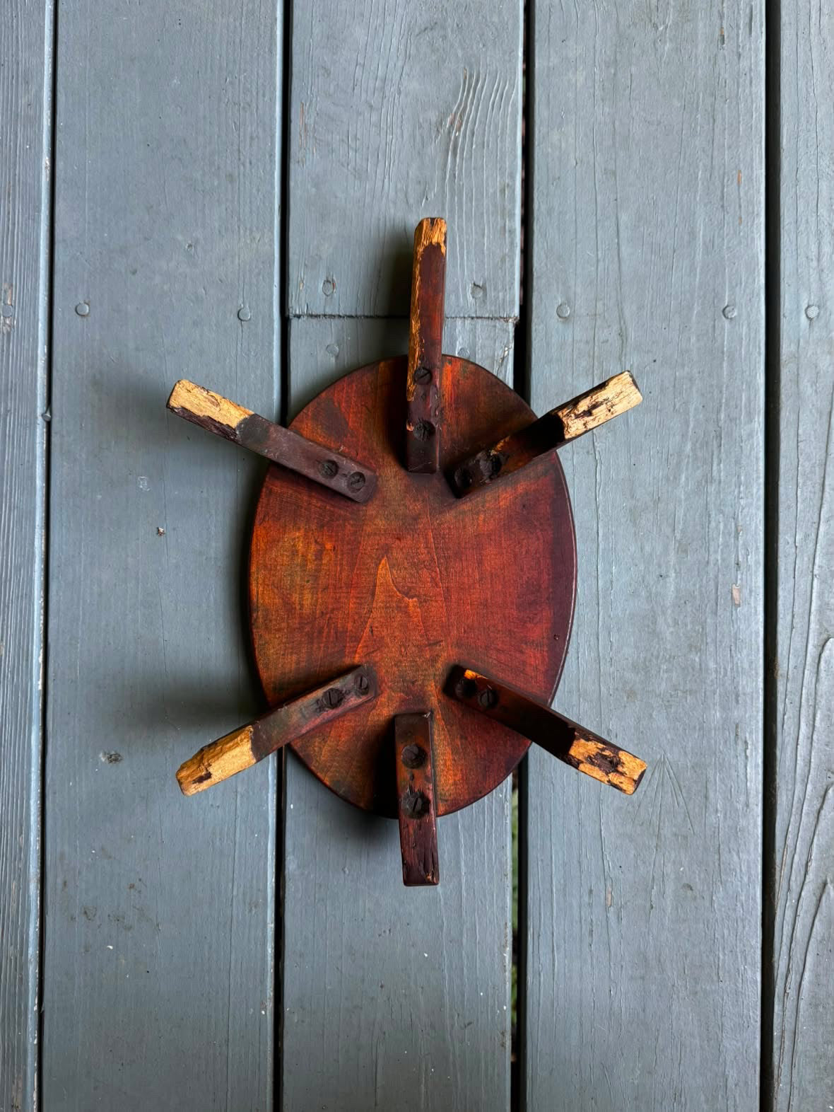 Turtle Stand