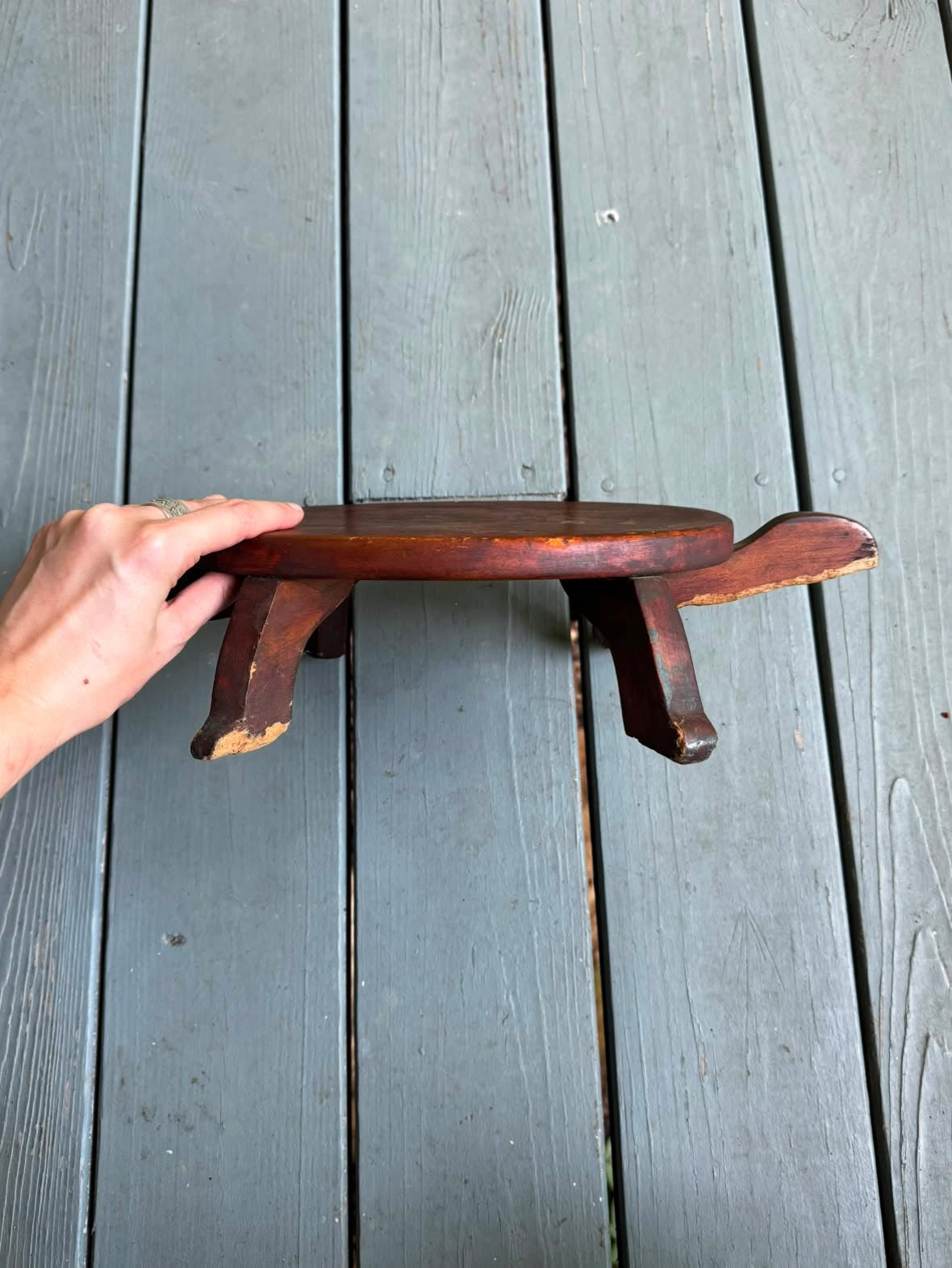 Turtle Stand