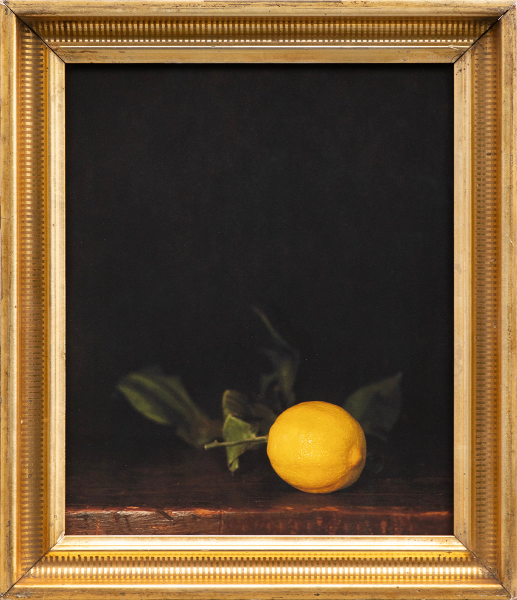Winter Lemon