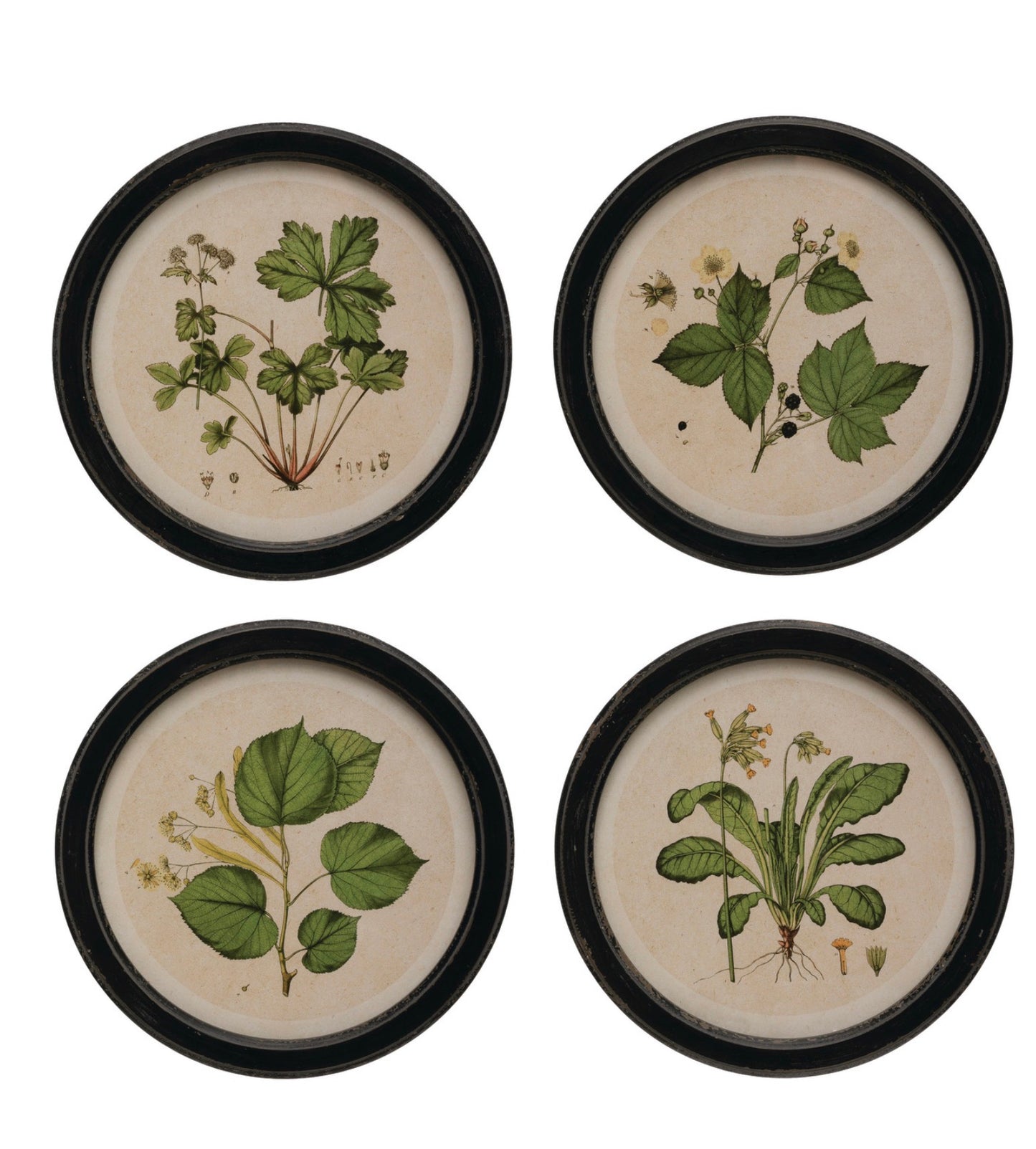 Round Framed Botanicals