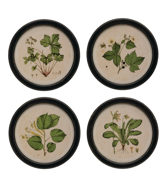 Round Framed Botanicals