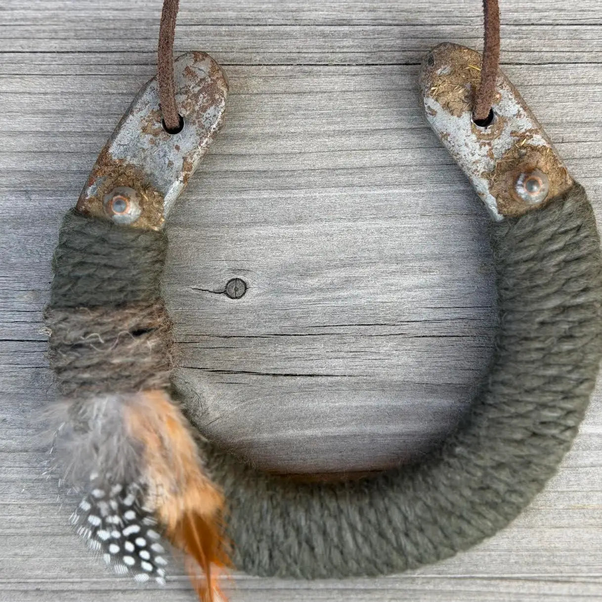 Lucky Horseshoe