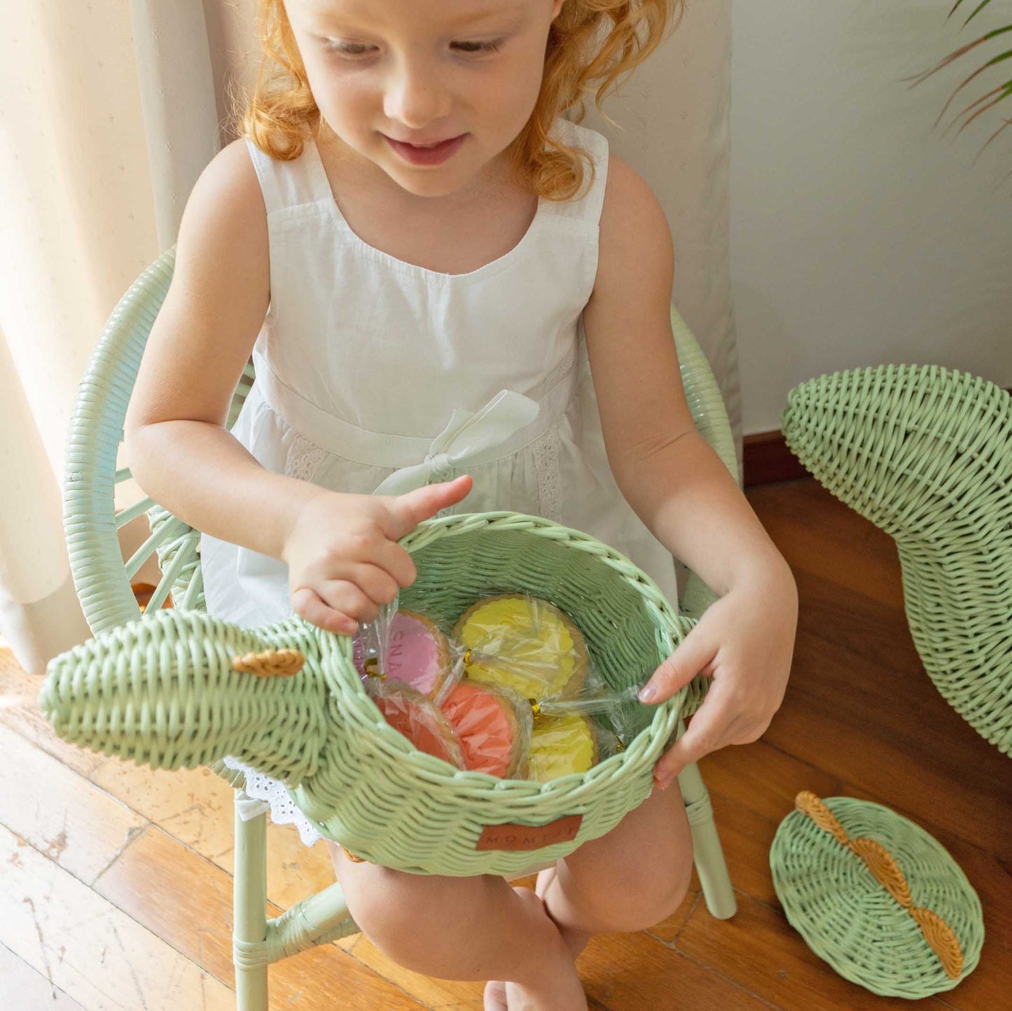 Dinosaur Rattan Basket