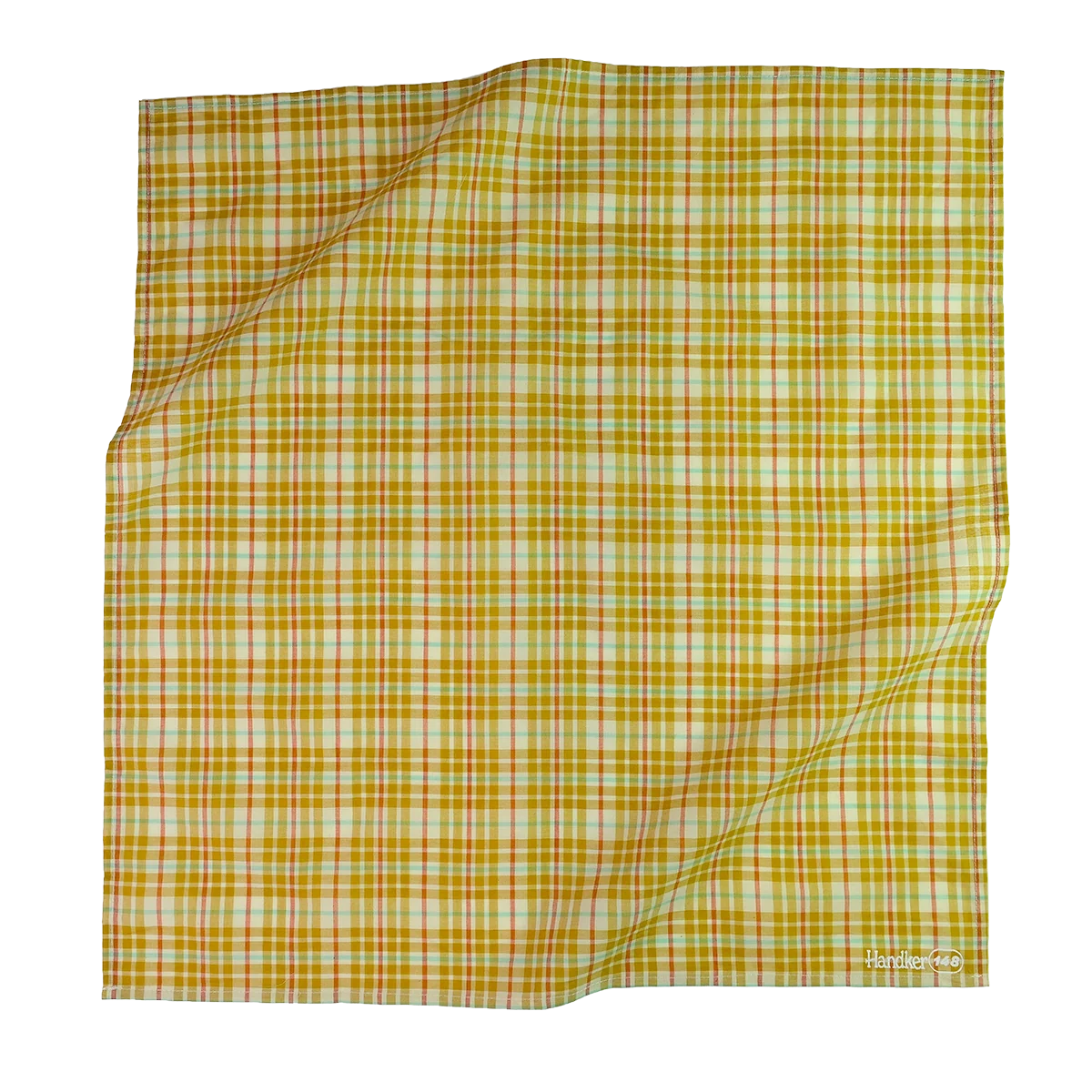 Bandana Delight