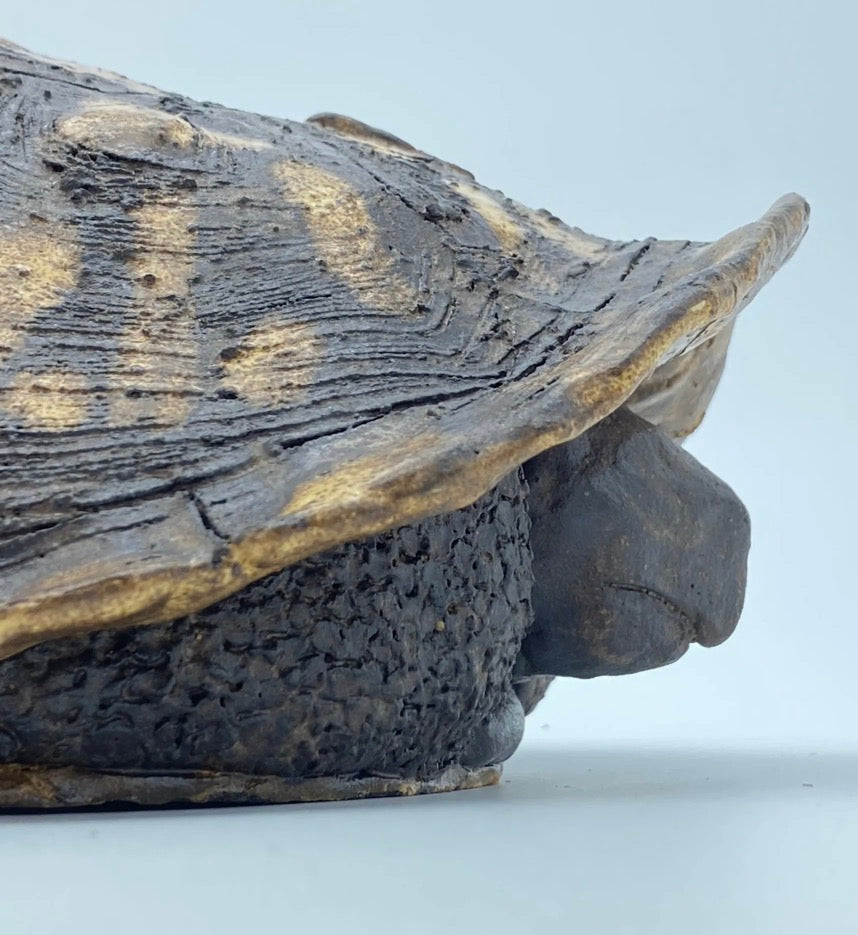Box Turtle Serving Platter