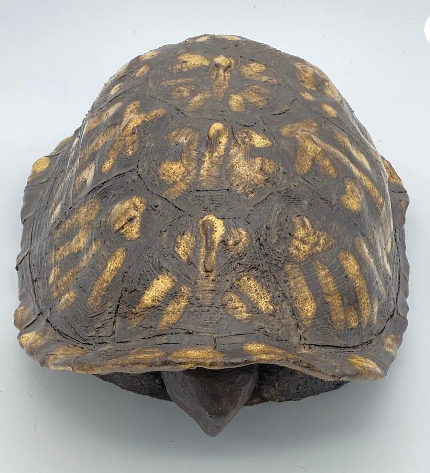 Box Turtle Serving Platter