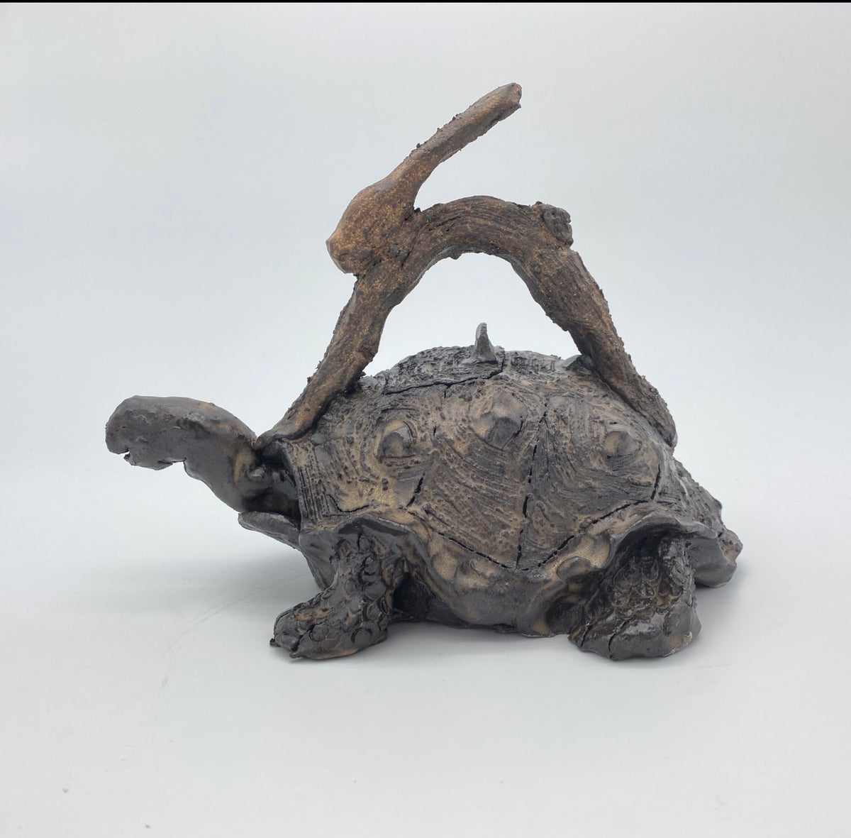 Tortoise & Hare Fable Teapot