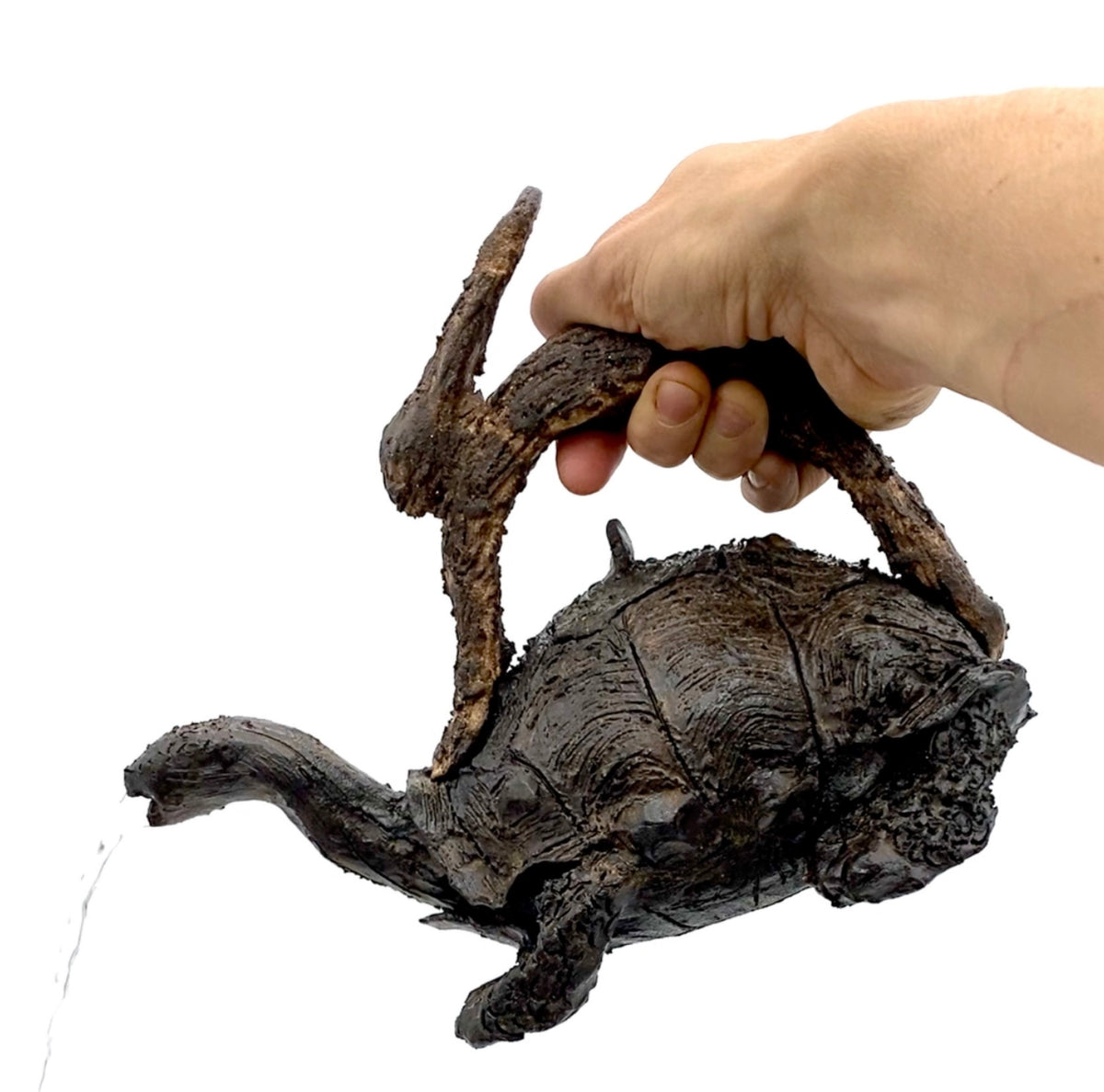 Tortoise & Hare Fable Teapot