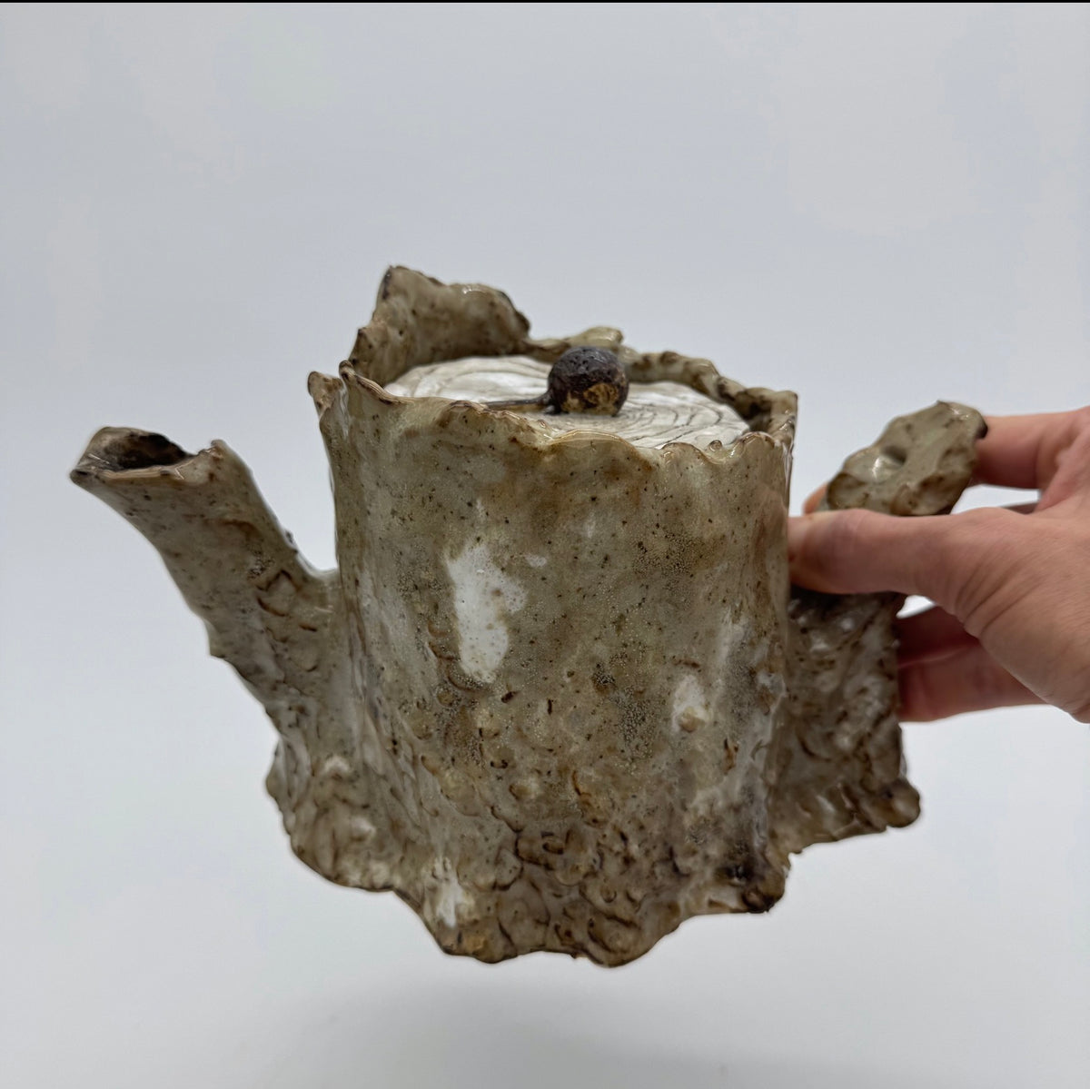 Felled Sycamore Teapot