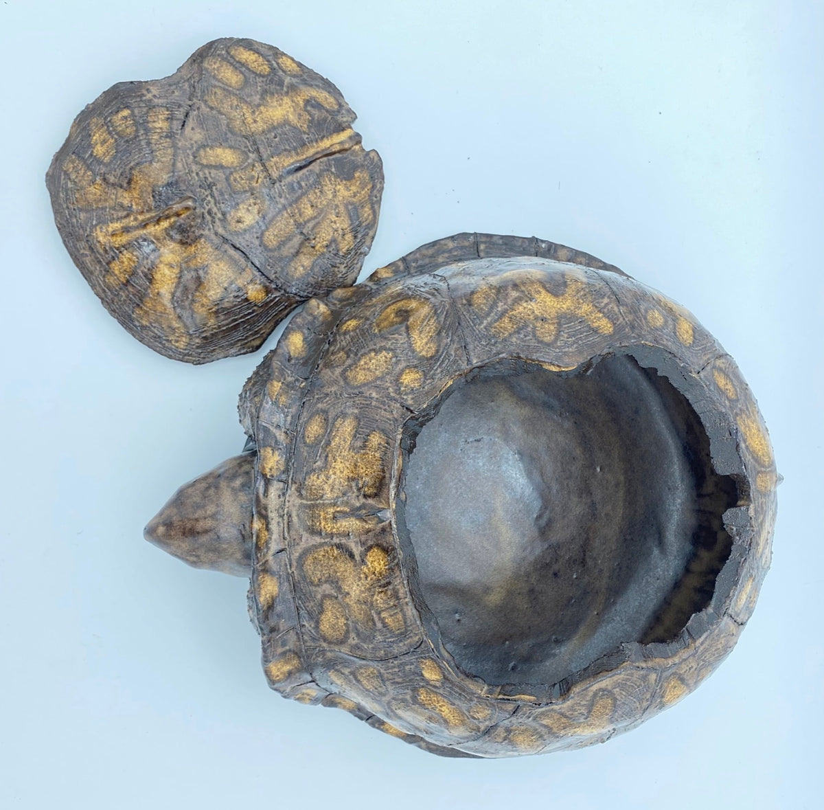 Box Turtle Tureen (LARGE)