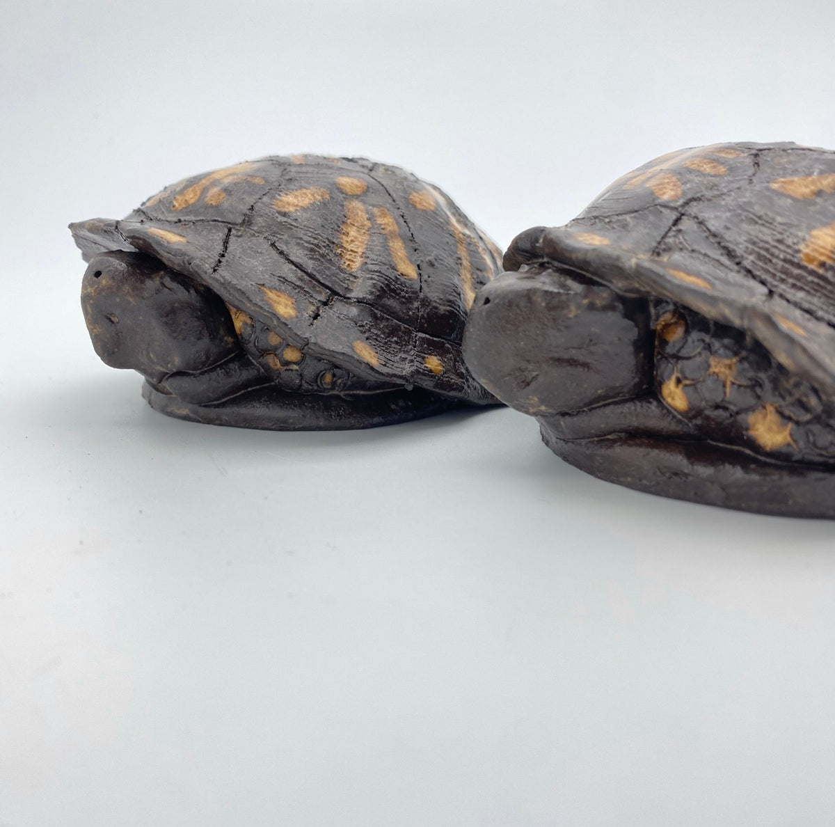 Box Turtle Salt & Pepper Shakers