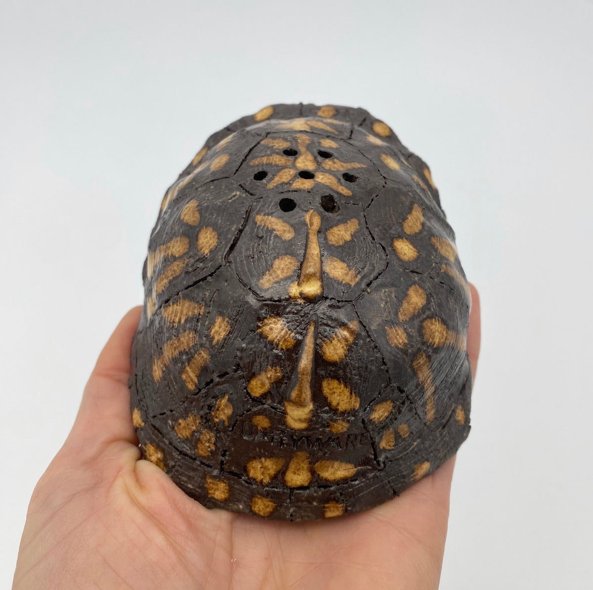 Box Turtle Salt & Pepper Shakers