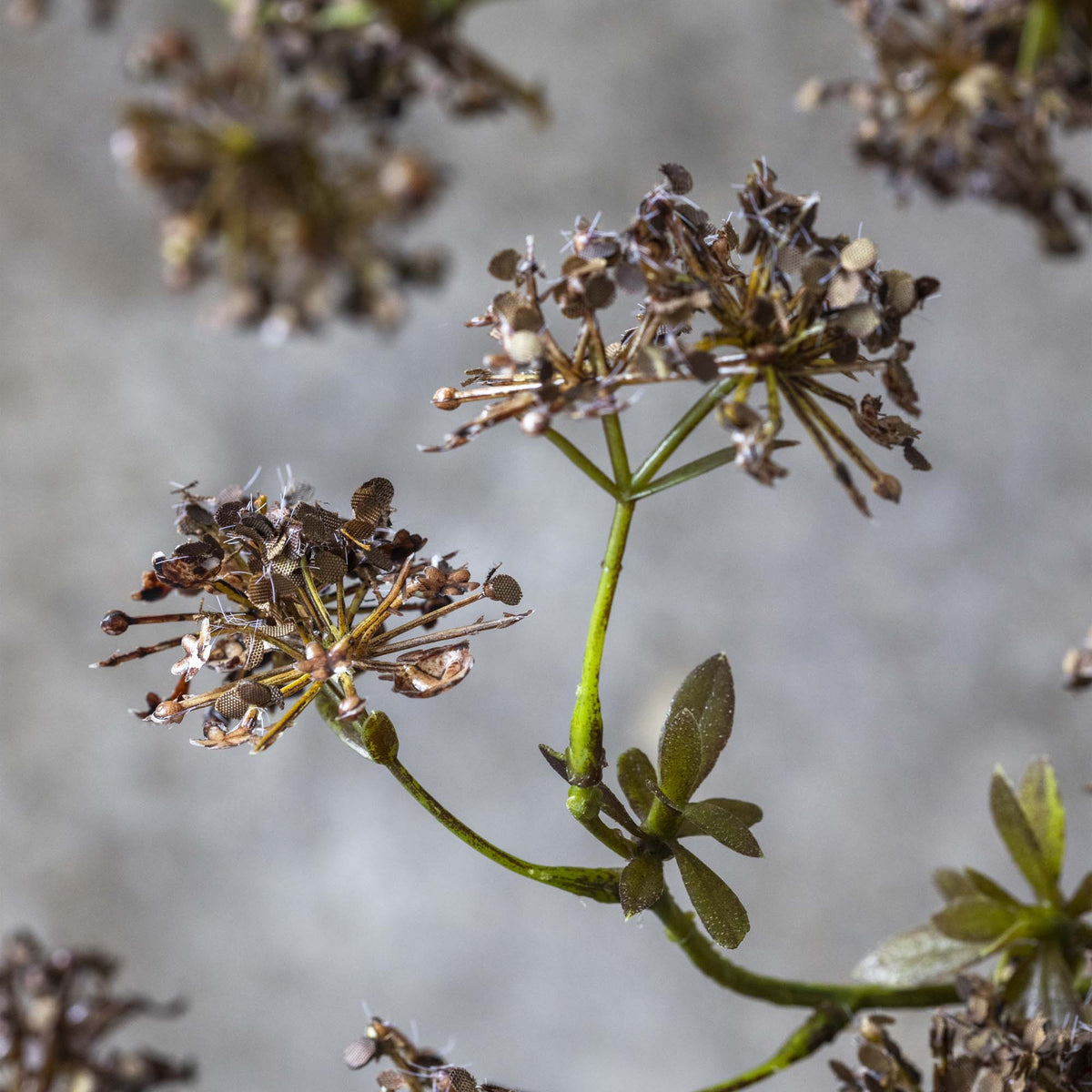 ARTIFICIAL SALIX BERRY