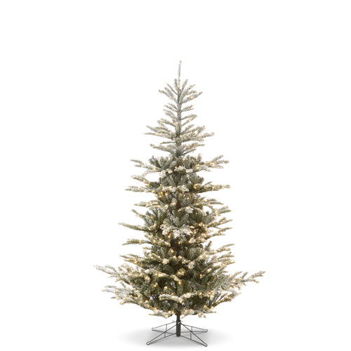 Snowy Norwegian Spruce with Brillant LED Lights