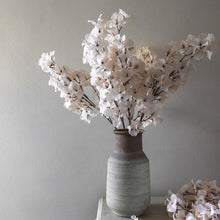 Load image into Gallery viewer, Bougainvillea Blush Stem
