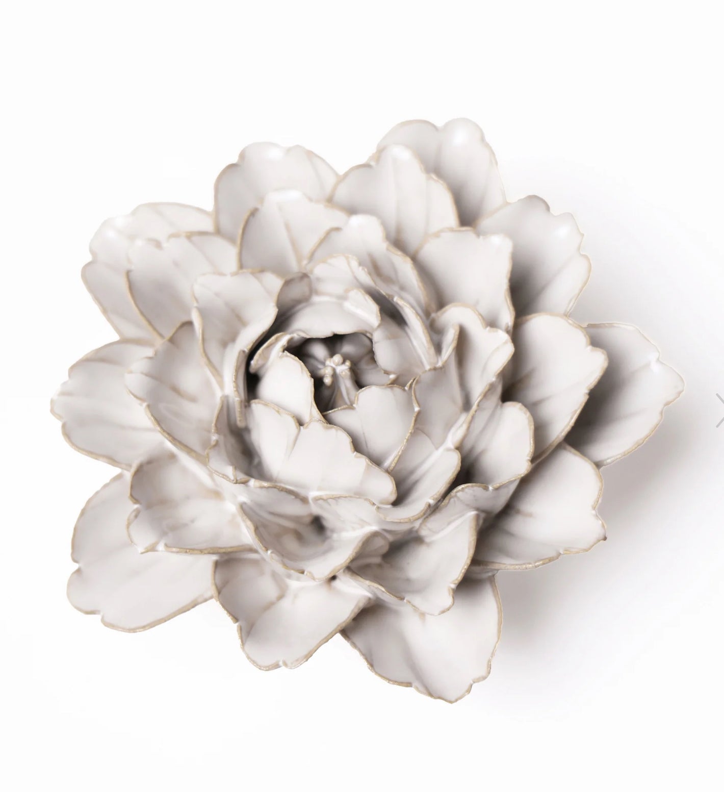 Ceramic Flower Ivory Collection