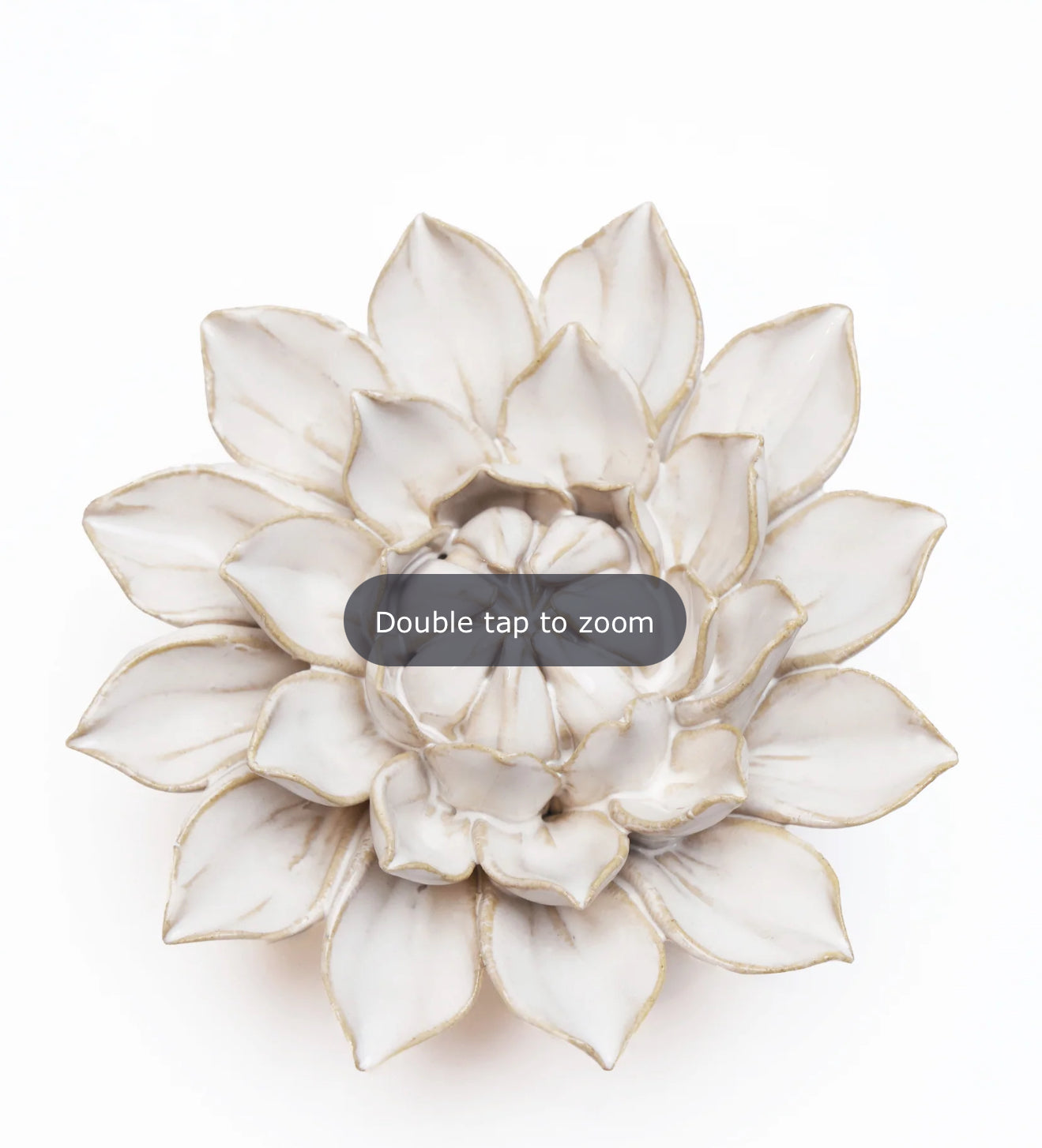 Ceramic Flower Ivory Collection