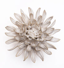 Load image into Gallery viewer, Ceramic Flower Ivory Collection
