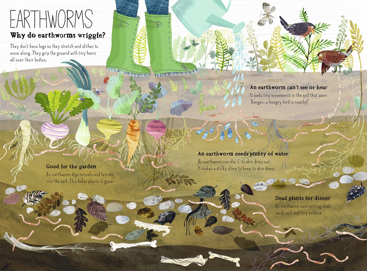 Big Book of Bugs