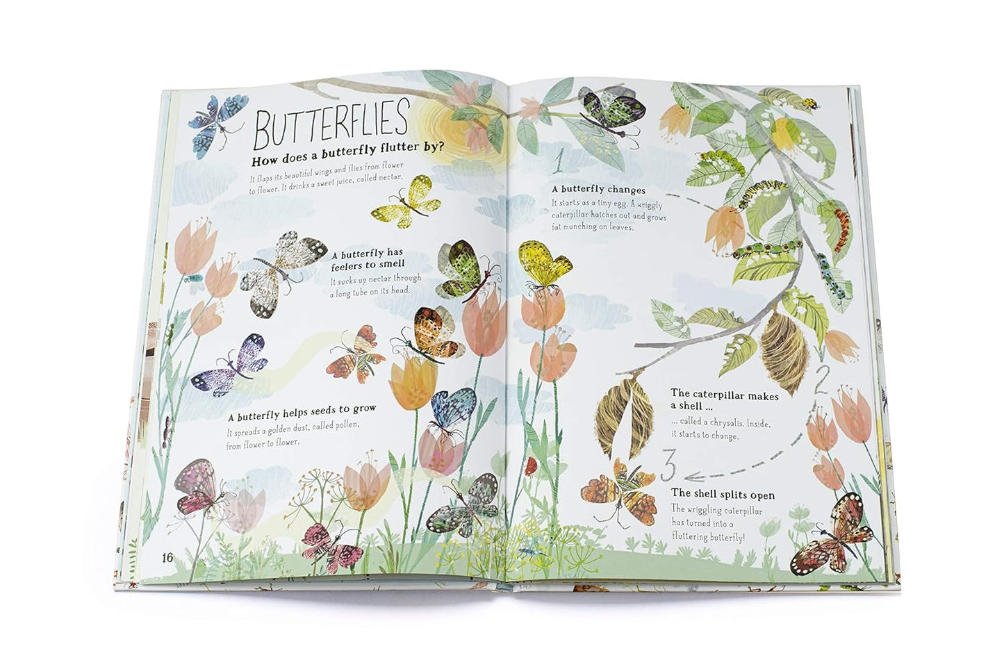 Big Book of Bugs