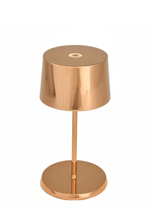 Olivia Pro Mini Cordless Lighting