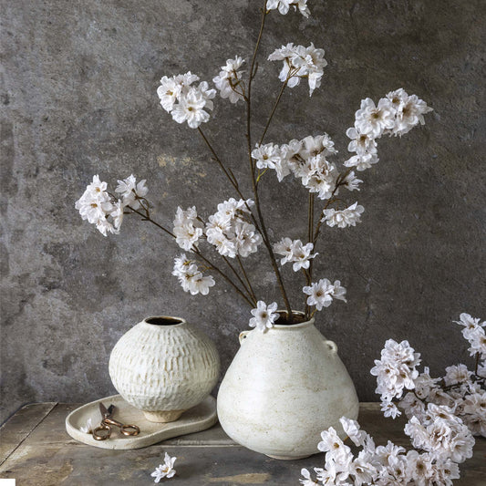Cherry Blossom