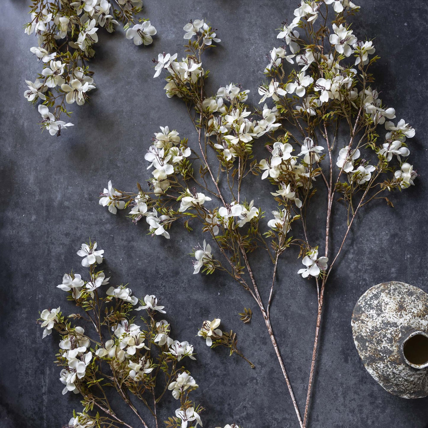 Prunus Blossom