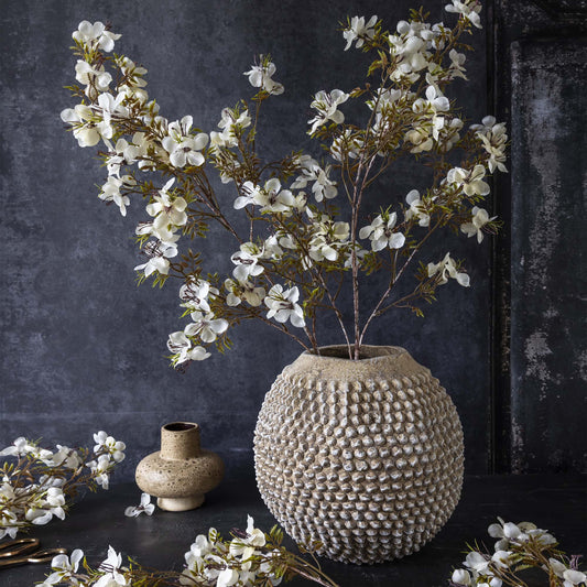 Prunus Blossom
