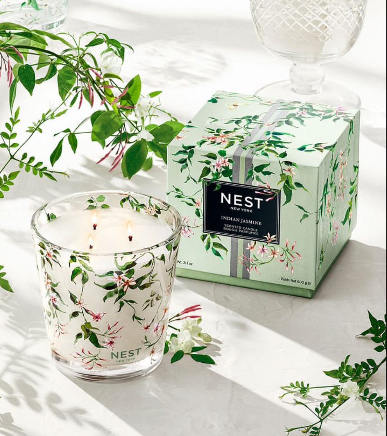 Nest Indian Jasmine